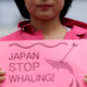 A member of civic group holds a sign during a rally against Japan’s commercial whaling near the Japanese embassy in Seoul, South Korea, Wednesday, June 19, 2019.